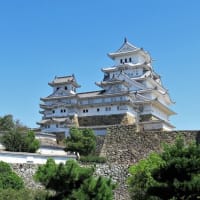 「自己」を超える視点