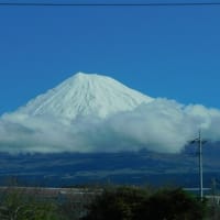 久しぶりに顔を出した富士山