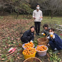 柿合宿！2020