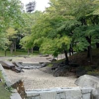 雨にふられてはしご散歩