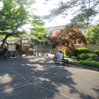 永青文庫と肥後細川庭園
