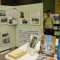 沖縄戦とハンセン病患者 重なる差別に抗して アリの一言