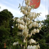 2025年6月10日・曇・21度