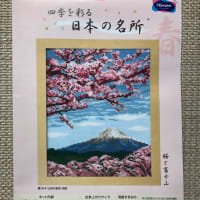 バラ終わり　あのゴージャスは　いずこへか🌹
