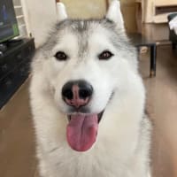 最後の更新です