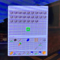 05_今日はマイクラずくしでした。