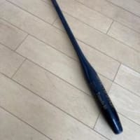 日記（4.1）
