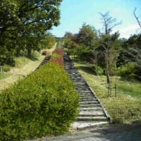 日本一の枕木階段　湧水町