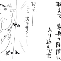 画像の整理