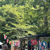 上野動物園周辺　2025.6.29