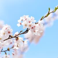 癌治療をとめないために、増えた薬剤の引き出し