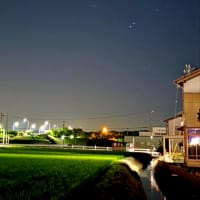 ６月17日火曜日　真夏日❗