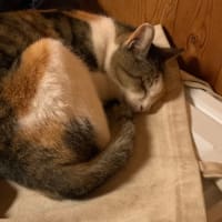 三人三様で