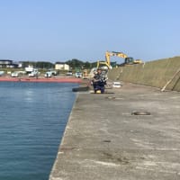 配送前の釣り　M川漁港の鮭釣り