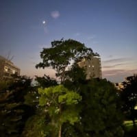 6月下旬