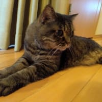 その場所は