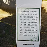 伊計島の中心地