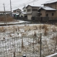 2019初雪