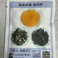 中国烏龍茶テイスティング