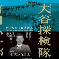 大谷探検隊