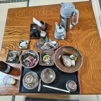 07/14思い出の旅日記　五島：大瀬崎への鳥見行-3（大瀬崎～三井楽間の海浜等の模様）