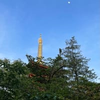 塔と栴檀と月