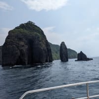 2023年8月9日冠島ダイビング