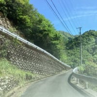 みなみの梅やん介護日誌　/ 梅やんの3回忌