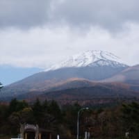 富士山と紅葉
