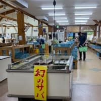 みちのえき　めぐり。