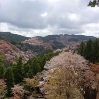 旅行