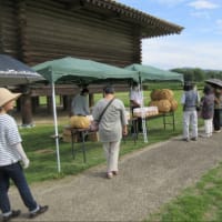 鞠智城（きくちじょう）に行きました。
