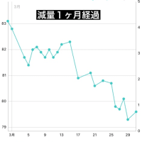 今日の筋トレ【背中2・お腹】〜2025.3.31〜