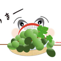PC同好会