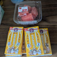 面会禁止でした。
