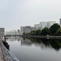ヤマボウシ