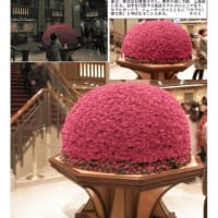 施設案内東京-526    帝国ホテル 