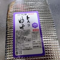 特急スペーシア八王子日光号②