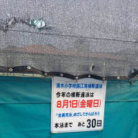 プールの様子