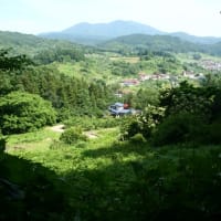 地元に近い或る丘の優美な空間