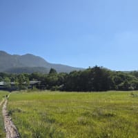 #神の恵みのお陰