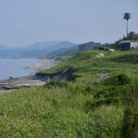 暑さにグッタリ　草刈は半分だけ　2025/06/30（鹿児島）