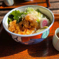 大間々「大釜」神梅店の「冷やしたぬきうどん」・桐生クリスマスローズガーデン