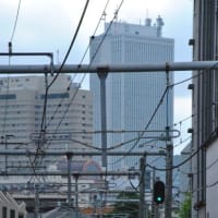 散歩道　　踏切を通る西武池袋線特急電車　　　28