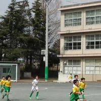 静岡ピュアcup