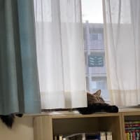 腫瘍