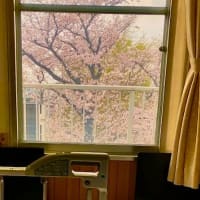 近況報告させて頂きます。