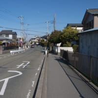 １月の寒川神社：寒川神社境内から参道を歩いてＪＲ相模線宮山駅へ　ＰＡＲＴ２