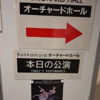 白鳥の湖