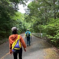 第29回ハイキングおじさんに行こう！　の再度公園とアジサイ巡り 下見編